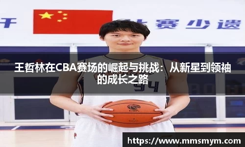 王哲林在CBA赛场的崛起与挑战：从新星到领袖的成长之路